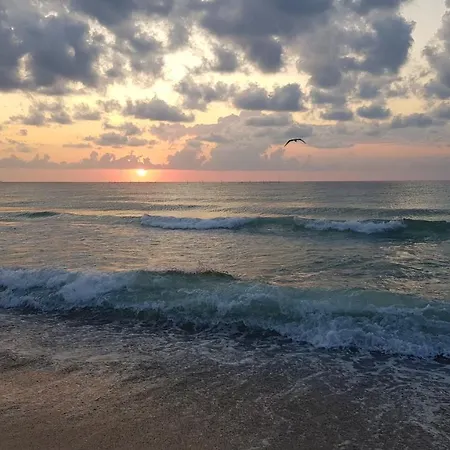 House Of Wax - Casa Ceara Guest house Costinesti