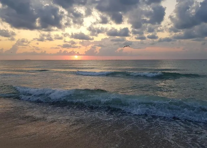 House Of Wax - Casa Ceara Guest house Costinesti