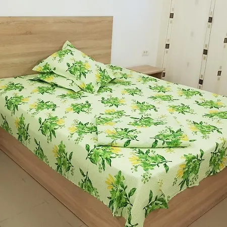 House Of Wax - Casa Ceara * Costinesti